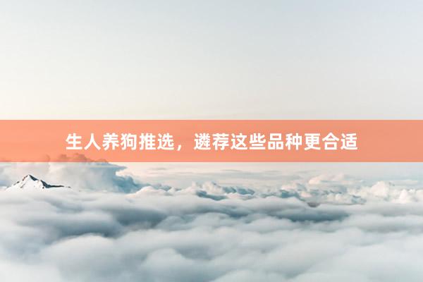 生人养狗推选，遴荐这些品种更合适